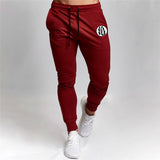 Dragon Ball Goku Mens Pants
