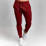Dragon Ball Goku Mens Pants