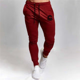 Dragon Ball Goku Mens Pants